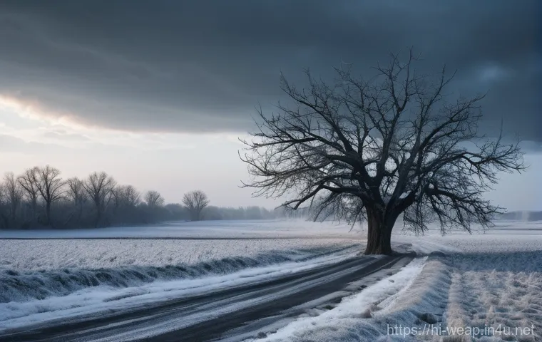전술 핵무기 사용 가능성 - **Prompt:** "A solemn and serene black and white photograph depicting a remembrance park. In the for... 전술 핵무기 사용 가능성 - **Prompt:** "A solemn and serene black and white photograph depicting a remembrance park. In the for...